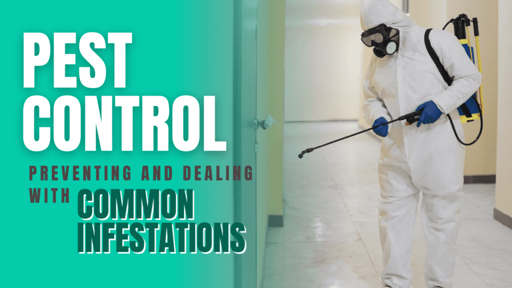 Pest Control in LA: Preventing and Dealing with Common Infestations - Article Banner