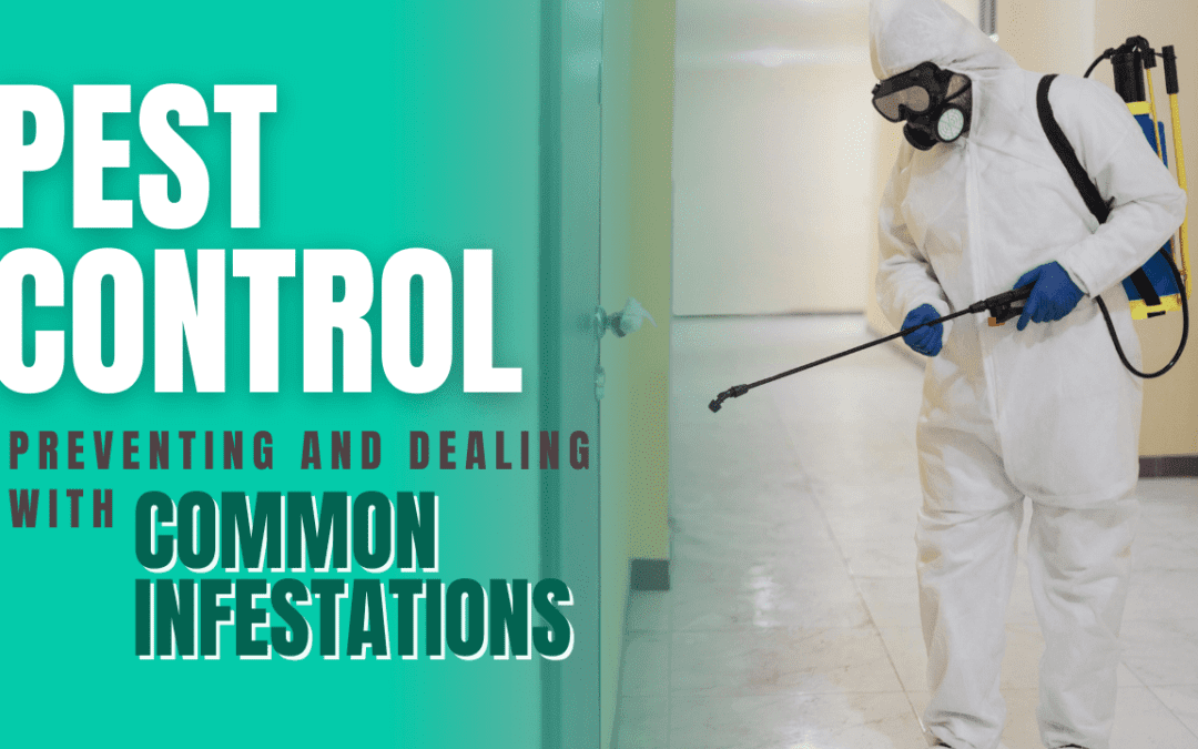 Pest Control in LA: Preventing and Dealing with Common Infestations