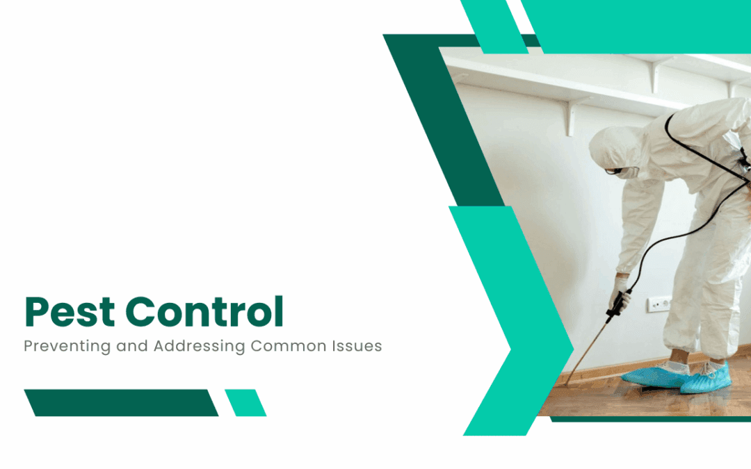 Pest Control in LA: Preventing and Addressing Common Issues