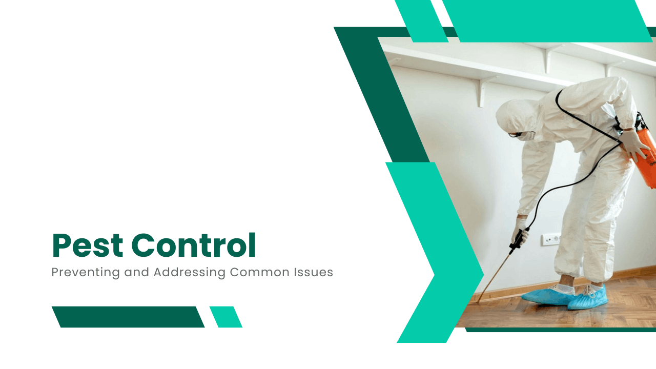 Pest Control in LA: Preventing and Addressing Common Issues