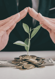 Grow Your Investment